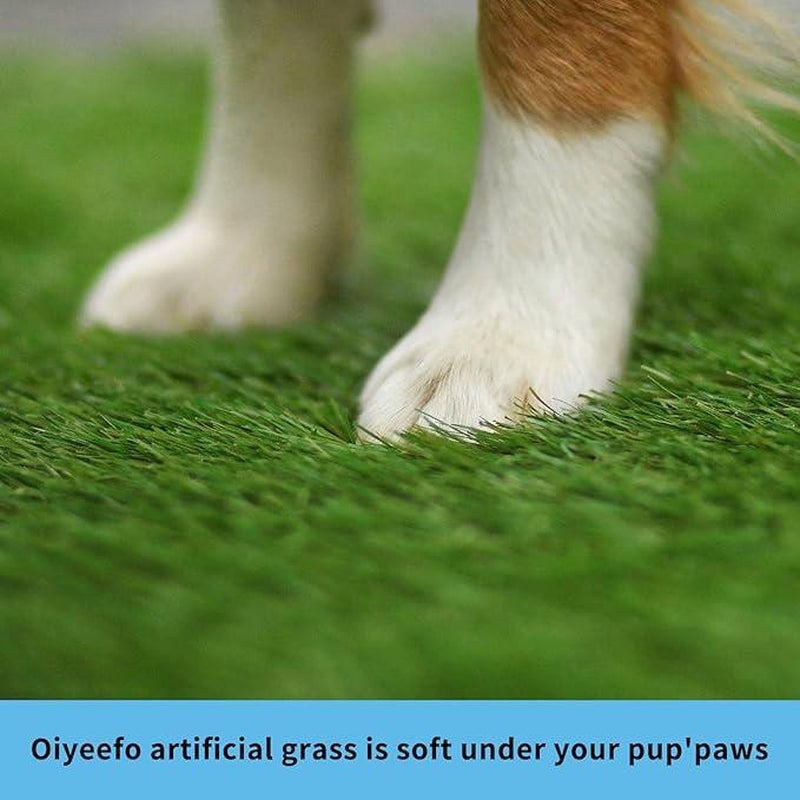 Dog Grass Pad with Tray, Indoor Dog Potty ,Artificial Fakedisposable Puppy Pads,For Puppy Training Apartment,Outdoor Use, Easy to Clean Puppy Toilet Training Pad, Ideal for Medium & Small Dogs