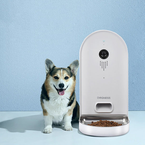 Intelligent Pet Automatic Plastics Feeder