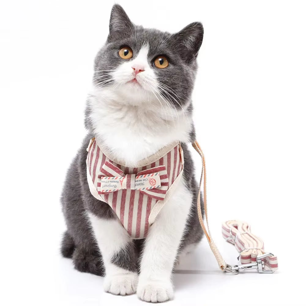 Cute Dog Cat Harness and Leash Set Nylon Mesh Pet Puppy Harness Lead Cat Collar Clothes Vest for Small Cats Kitten Pet Supplies